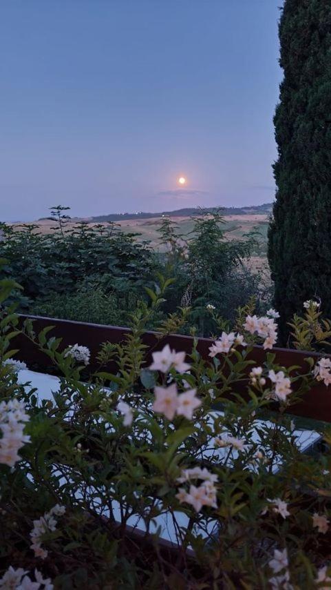 La Villa Dei Fiori San Rocco a Pilli Luaran gambar