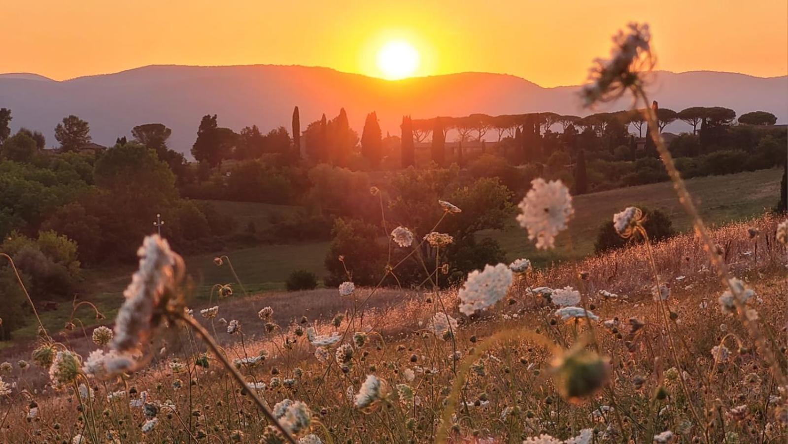 La Villa Dei Fiori San Rocco a Pilli Luaran gambar